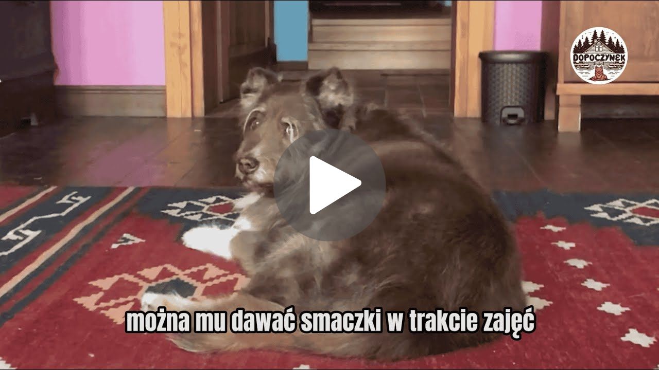 Miniatura wideo